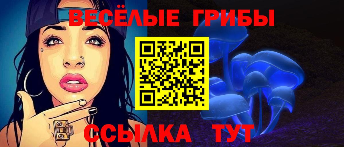 наркота  Галлюциногенные грибы мухоморы  Вход с VPN  Елизово 
