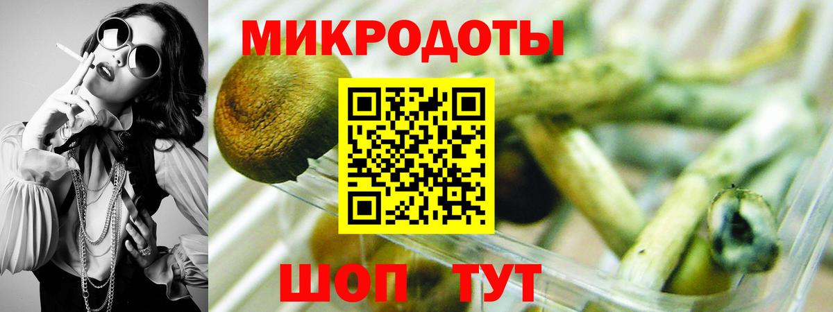 Галлюциногенные грибы MAGIC MUSHROOMS Елизово